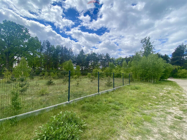 Duża piekna działka przy Puszczy Słupeckiej