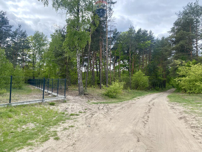 Duża piekna działka przy Puszczy Słupeckiej