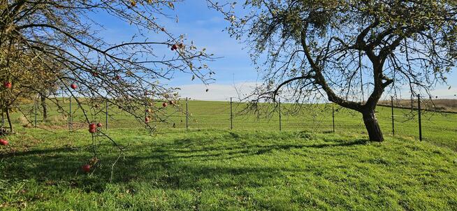 Siedlisko Dom + murowane budynki pod uprawy pasiekę hodowlę