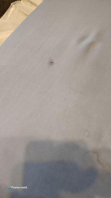 Pranie Tapicerki. Sof, Kanap, Krzeseł, Wersalki, Materaca.