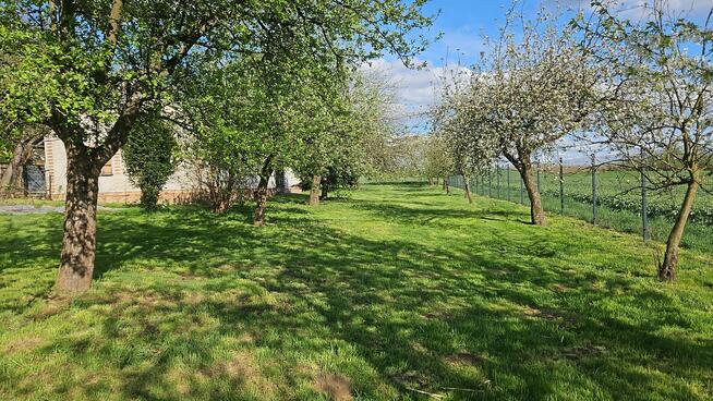 Siedlisko Dom + murowane budynki pod uprawy pasiekę hodowlę