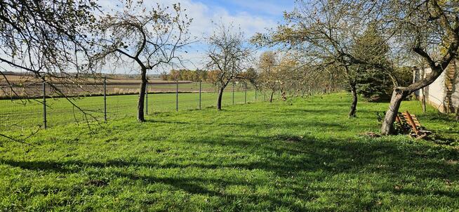 Siedlisko Dom + murowane budynki pod uprawy pasiekę hodowlę