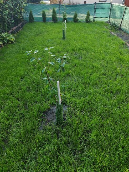 zamienie mieszkanko w Kożuchowie z ogródkiem
