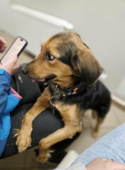 Ocalała i gotowa kochać – poznaj Gandzię