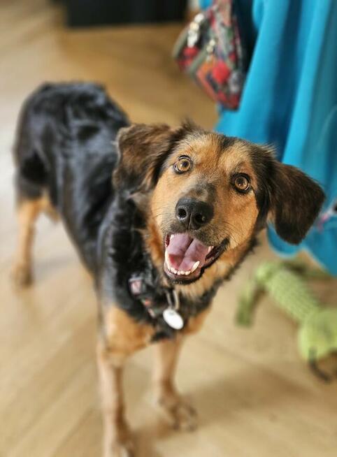 Ocalała i gotowa kochać – poznaj Gandzię