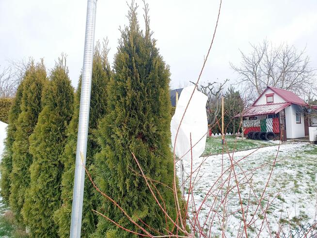 Działka ROD Szarotka