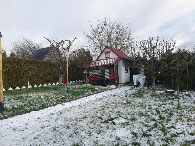 Działka ROD Szarotka