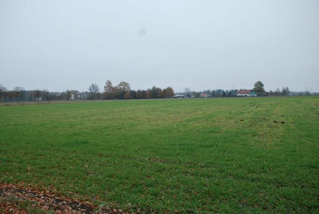 Syndyk sprzeda 1/8 udziału w nier. gruntowej zabudowanej