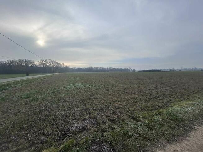 Sprzedam działki budowlane – 10 arowe, Prędocin