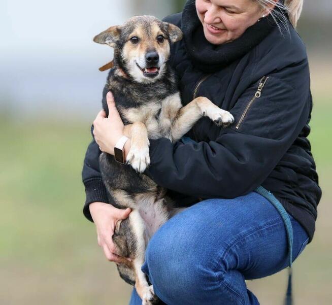 Rozbrajający energiczny senior Bary