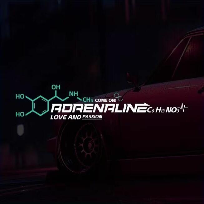 Naklejka winylowa naklejki na samochód odporne na mróz wode