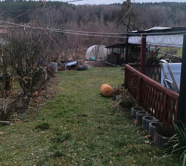 Sprzedam dom Stara Bircza