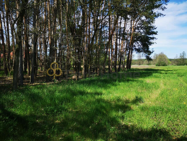 Działka inwestycyjna Nowa Sól Nowe Żabno,