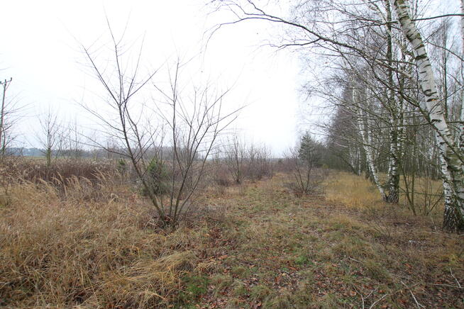 Działka komercyjna przemysł/usługa Lubartów S19