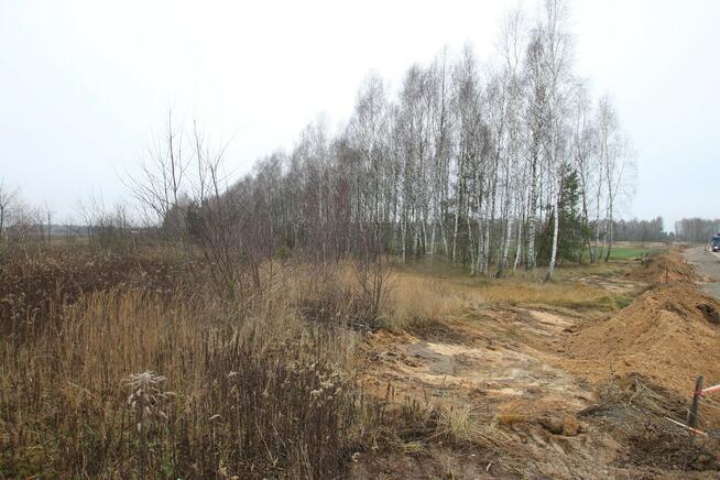 Działka komercyjna przemysł/usługa Lubartów S19