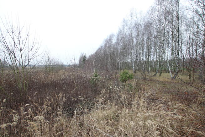 Działka komercyjna przemysł/usługa Lubartów S19