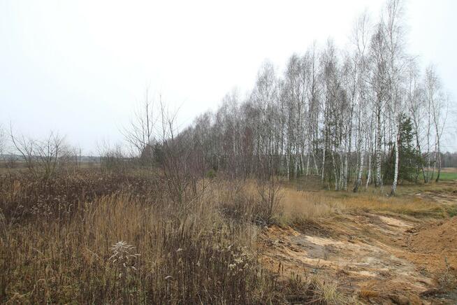 Działka komercyjna przemysł/usługa Lubartów S19