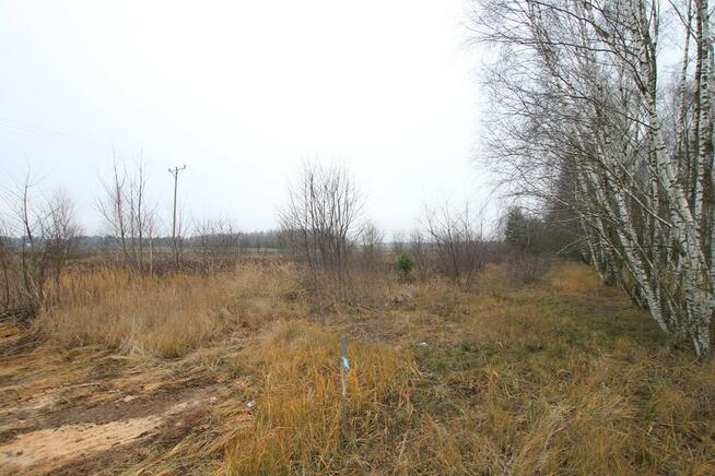 Działka komercyjna przemysł/usługa Lubartów S19