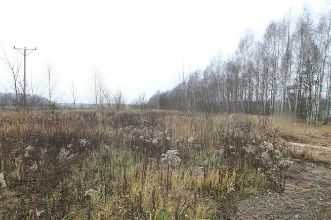 Działka komercyjna przemysł/usługa Lubartów S19