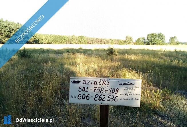 Sprzedam działki w Sosnowcu Wielkim k/Rynarzewa