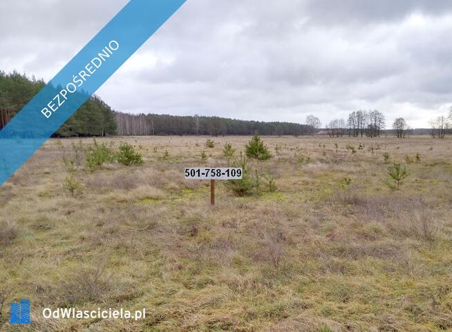 Sprzedam działki w Sosnowcu Wielkim k/Rynarzewa