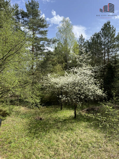 Działka inwestycyjna Nasiłów gm. Janowiec,