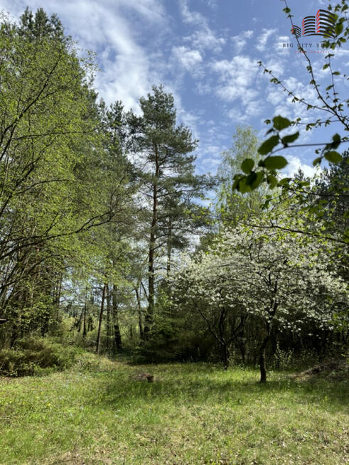Działka inwestycyjna Nasiłów gm. Janowiec,