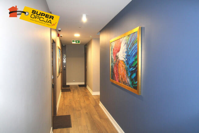 Lokal użytkowy Kraków gm. Kraków-Śródmieście Stare Miasto,