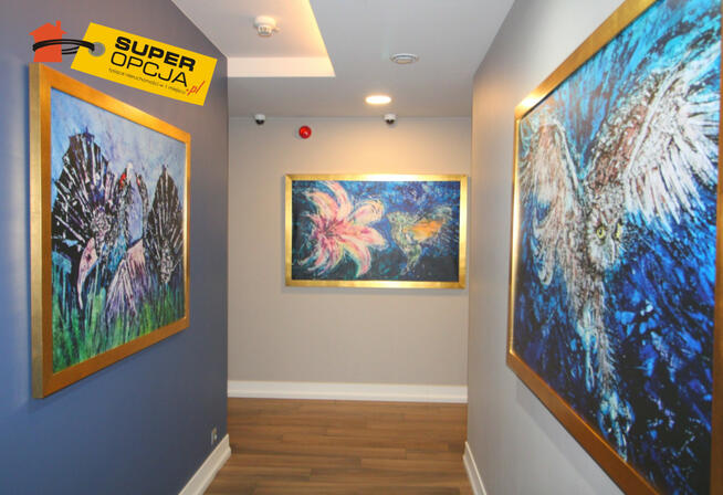 Lokal użytkowy Kraków gm. Kraków-Śródmieście Stare Miasto,