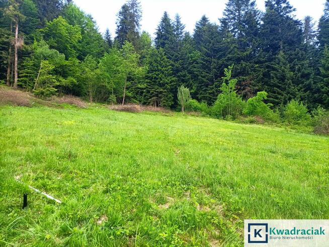 Działka rolna Zawóz gm. Solina,