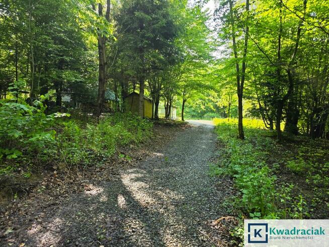 Działka rolna Płowce gm. Sanok,