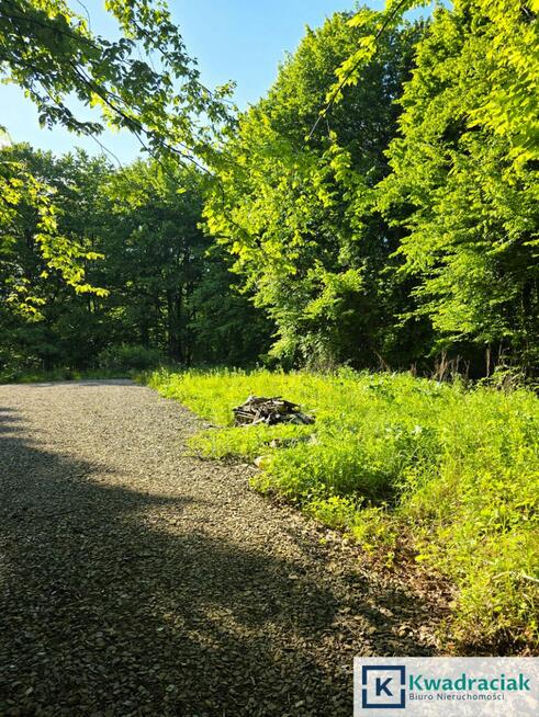 Działka rolna Płowce gm. Sanok,