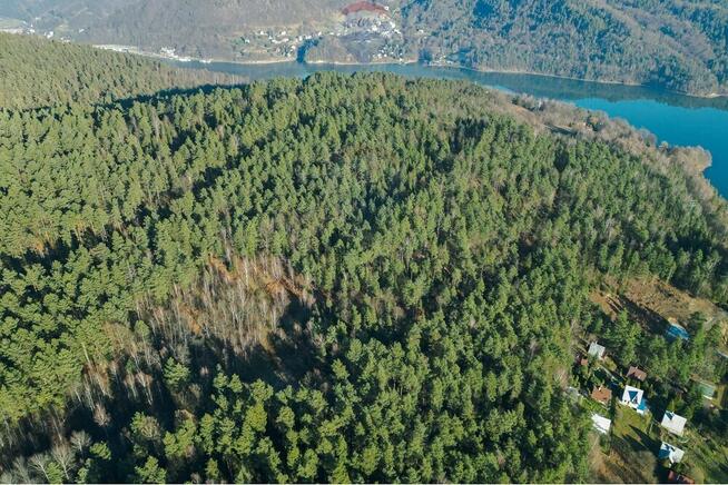 DZIAŁKA LEŚNA - GRATKA DLA INWESTORA