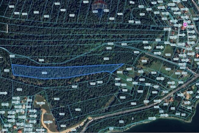 DZIAŁKA LEŚNA - GRATKA DLA INWESTORA