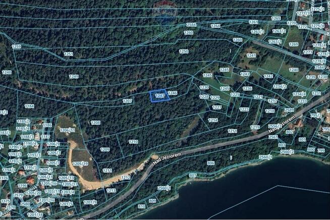 DZIAŁKA LEŚNA - GRATKA DLA INWESTORA