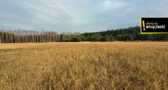 Działka rolna Jasień gm. Chmielnik,