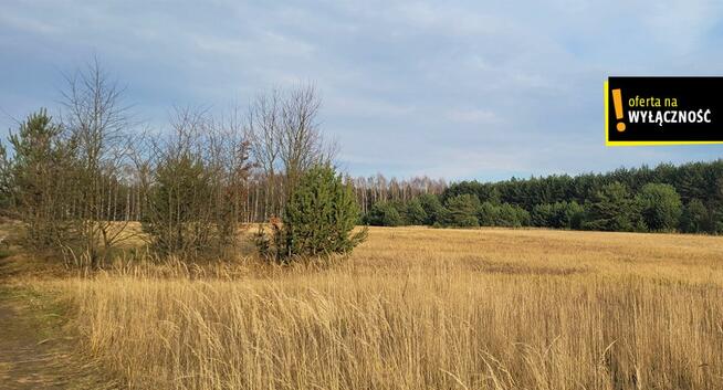 Działka rolna Jasień gm. Chmielnik,