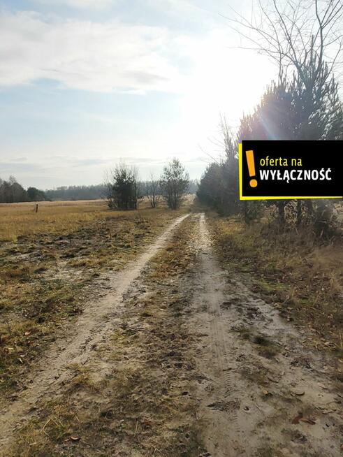 Działka rolna Jasień gm. Chmielnik,