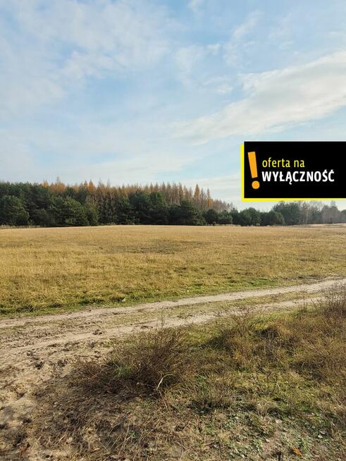 Działka rolna Jasień gm. Chmielnik,