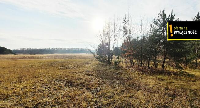Działka rolna Jasień gm. Chmielnik,