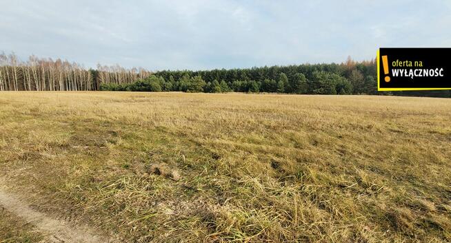 Działka rolna Jasień gm. Chmielnik,