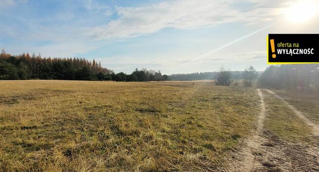 Działka rolna Jasień gm. Chmielnik,