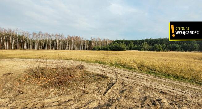 Działka rolna Jasień gm. Chmielnik,