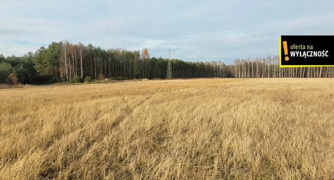 Działka rolna Jasień gm. Chmielnik,