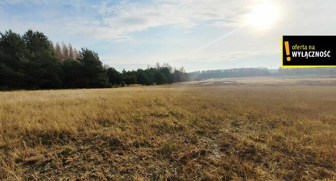 Działka rolna Jasień gm. Chmielnik,