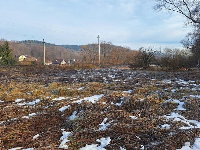 Na sprzedaż trzy działki rolne