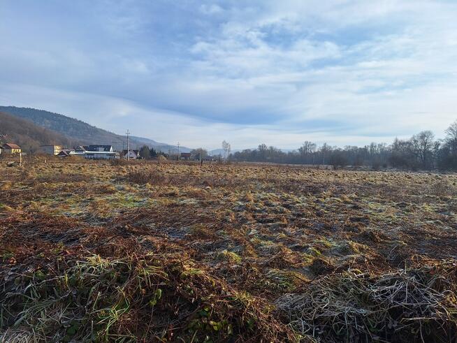 Na sprzedaż trzy działki rolne