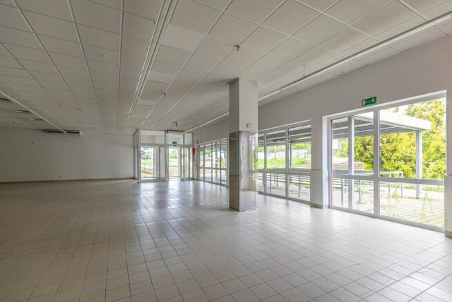 Lokal użytkowy Kraśnik,