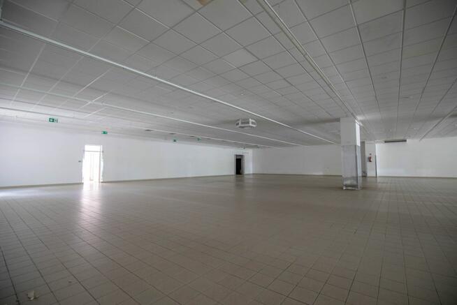 Lokal użytkowy Kraśnik,