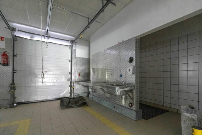 Lokal użytkowy Kraśnik,